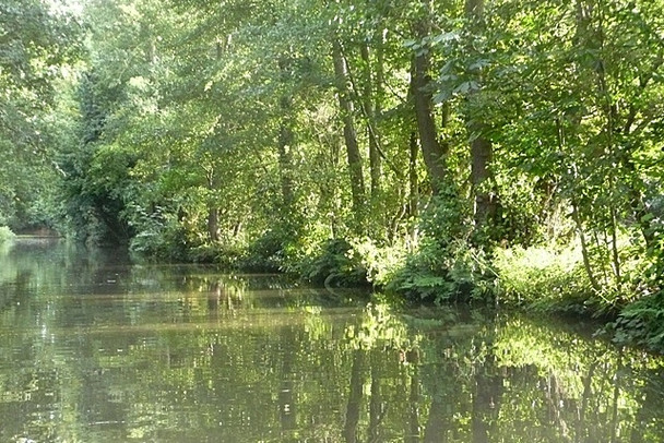 Photo 6"x4" River Wey Navigation near West Hall West Byfleet c2008
