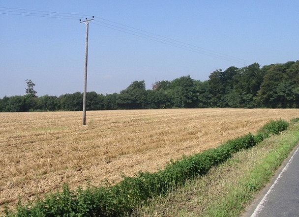 Photo 6"x4" View NW from the Sandwich Road Ashley\/TR3048 c2008