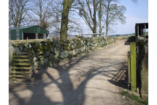 Photo 6"x4" Stone wall, Auchengray Farm, New Abbey Beeswing c2008