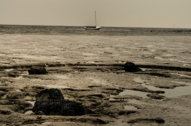 Photo 6"x4" Kilnsea Clays Kilnsea c2008