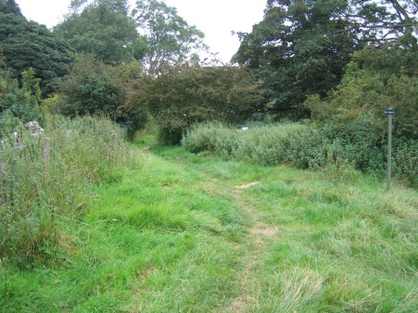 Photo 6"x4" Footpath to Din Lligwy Brynrefail\/SH4886 c2008