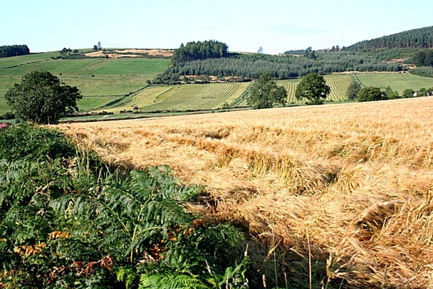 Photo 6"x4" Looking towards Green Hill from near Newfolds Pitmunie c2008