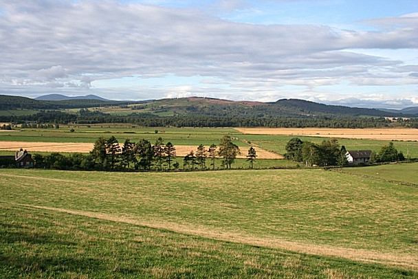 Photo 6"x4" Farmland at Coull Coull\/NJ5102 c2008
