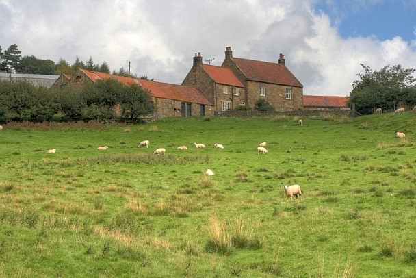 Photo 6"x4" Bankside Farm Kildale c2008