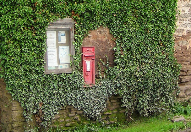 Photo 6"x4" VR postbox at Hom Green Hom Green c2008