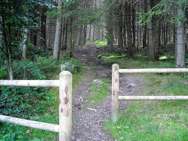 Photo 6"x4" Path in Strathyre Forest Strathyre\/NN5617 c2008