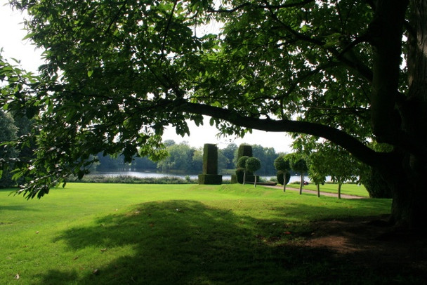 Photo 6"x4" Under The Spreading Chestnut Tree Oaks Green c2008