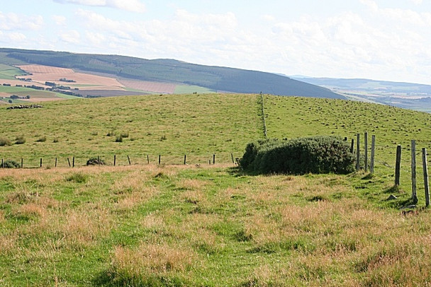 Photo 6"x4" Junction of Fences Bridgend\/NJ5135 c2008