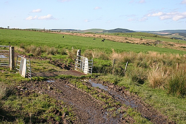 Photo 6"x4" Cattle Grid Craighead\/NJ4940 c2008