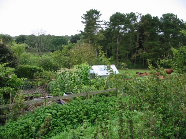 Photo 6"x4" View over the garden of Pine Trees and Bridge Cottage Elham c2008