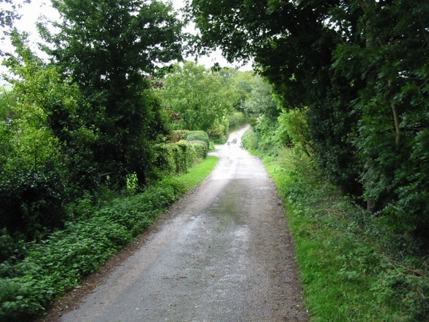 Photo 6"x4" Looking SE along Shuttlesfield Lane Elham c2008