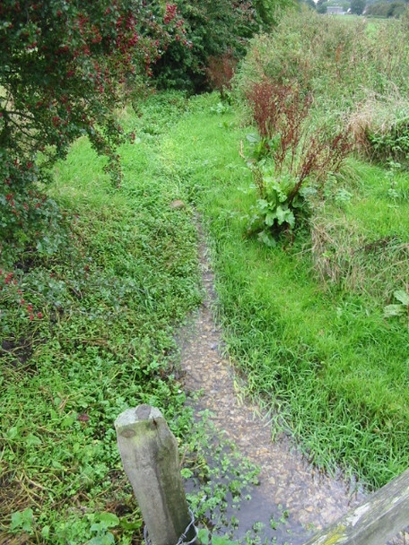 Photo 6"x4" The Nailbourne in late summer Lyminge c2008