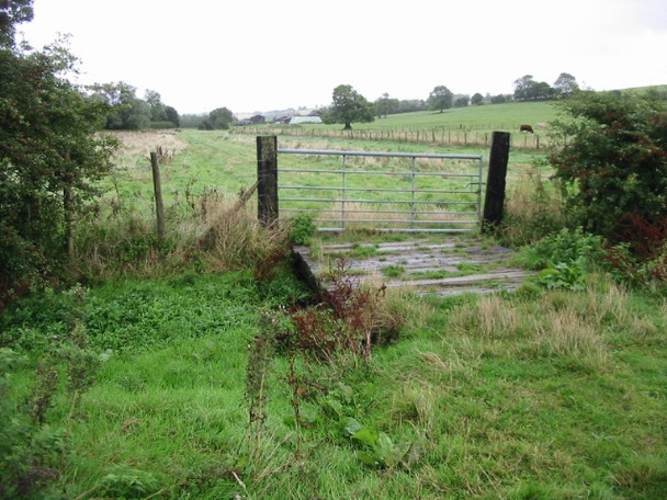Photo 6"x4" Looking NE along the Elham Valley Lyminge c2008