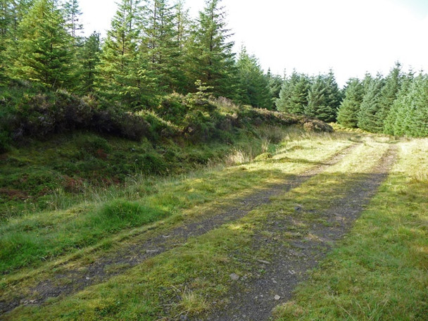 Photo 6"x4" Forest road in Tungadale Mugeary c2008