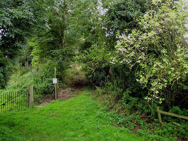 Photo 6"x4" Path to Tuft Wood from Hentland Kynaston\/SO5427 c2008