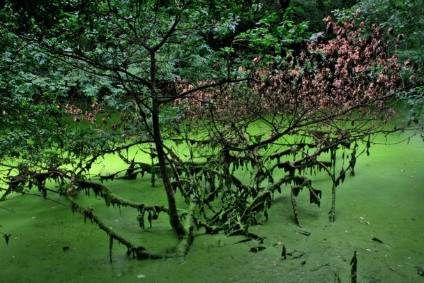 Photo 6"x4" Barnsley Canal  - Detail 2 Royston\/SE3511 c2008