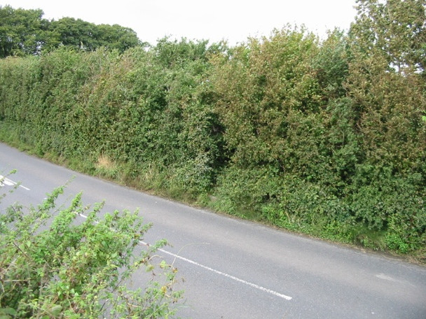 Photo 6"x4" Route of the Elham Valley Way N towards Lyminge Etchinghill\/TR1639 c2008