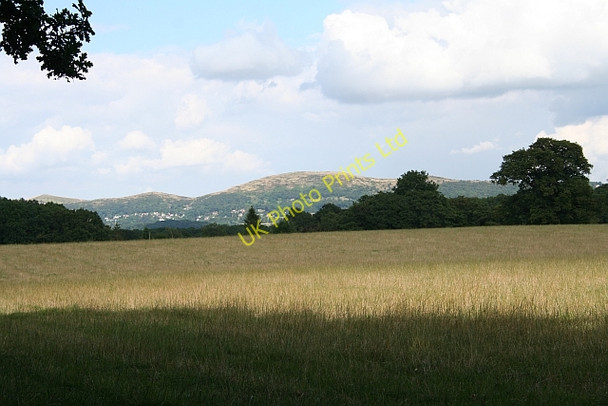 Photo 6"x4" Pasture near Stoneyard Green Coddington\/SO7142 c2007