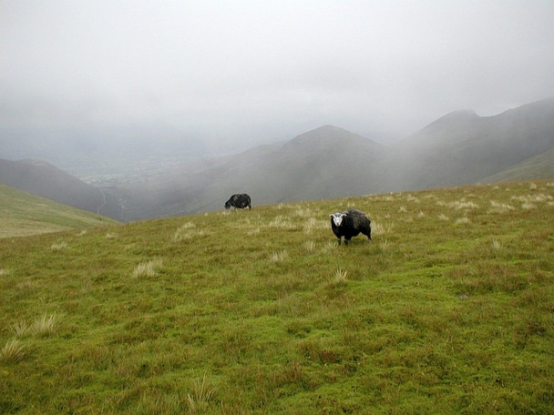 Photo 6"x4" At Coledale Hause Brackenthwaite\/NY1522 c2008