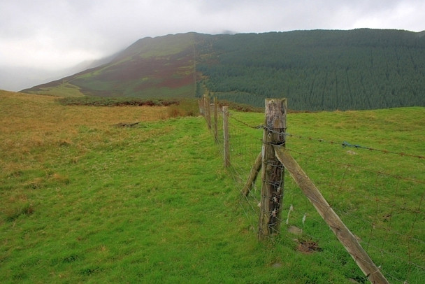 Photo 6"x4" Fence Corner, Kinn Spring Bank\/NY2224 c2008