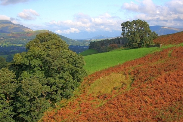Photo 6"x4" Across Barrow Gill Braithwaite\/NY2323 c2008