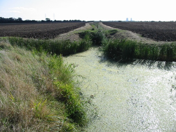 Photo 6"x4" Algae filled drainage ditch Hoo\/TR2964 c2008