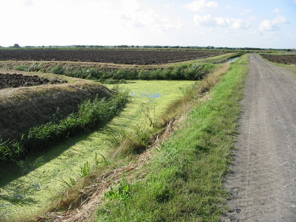 Photo 6"x4" Farm road footpath and ditch Hoo\/TR2964 c2008