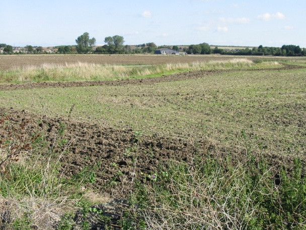 Photo 6"x4" View NE across farmland Hoo\/TR2964 c2008