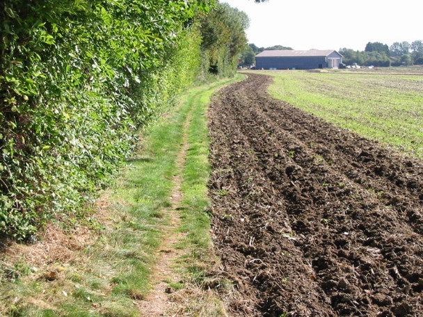 Photo 6"x4" Footpath to Monkton Hoo\/TR2964 c2008