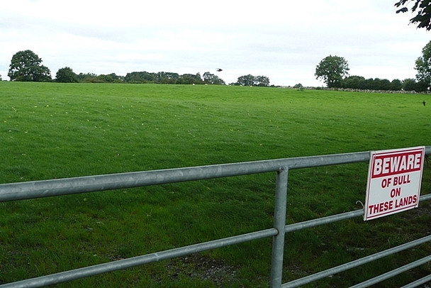 Photo 6"x4" Pasture at Carrowkeeran Brideswell\/M9444 c2008