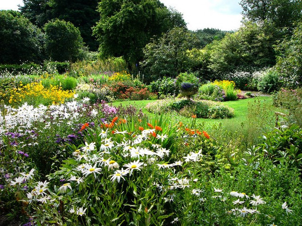 Photo 6"x4" Wallington walled garden Cambo\/NZ0285 c2008