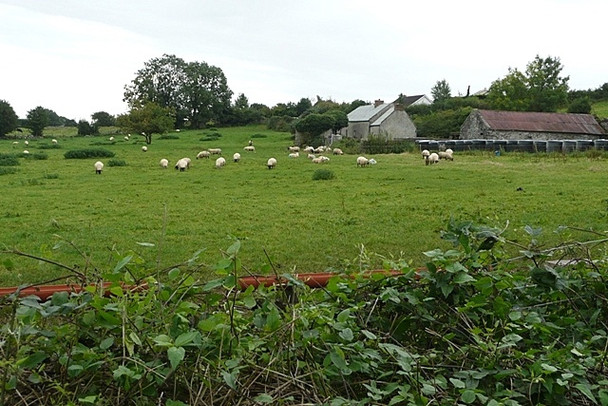 Photo 6"x4" Pasture at Kiltoom Kiltoom c2008 P1