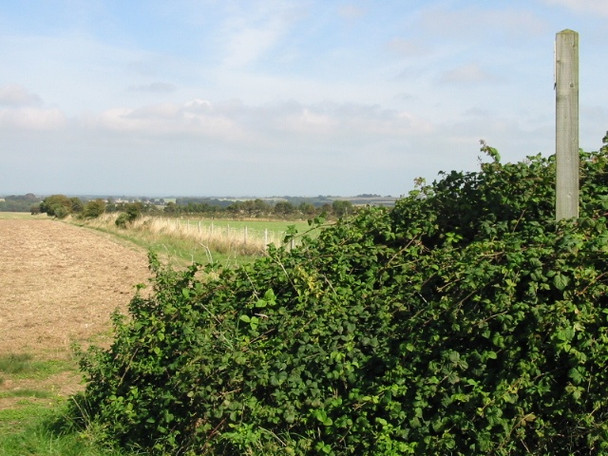 Photo 6"x4" Footpath towards Stoneheap Farm Studdal c2008