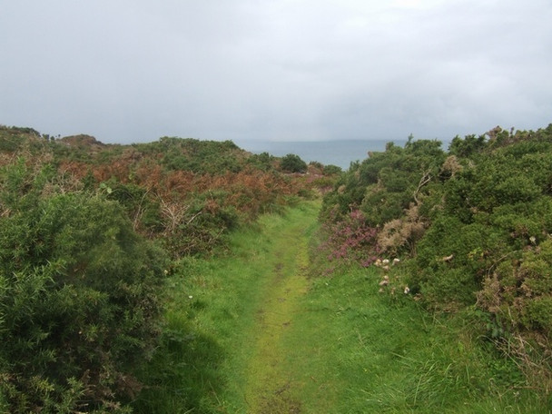 Photo 6"x4" Footpath above St Agnes Head Cross Coombe c2008