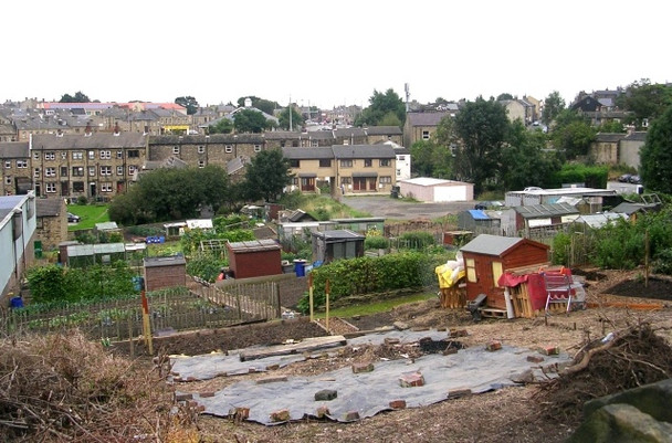 Photo 6"x4" Allotments - Somerset Road Huddersfield c2008
