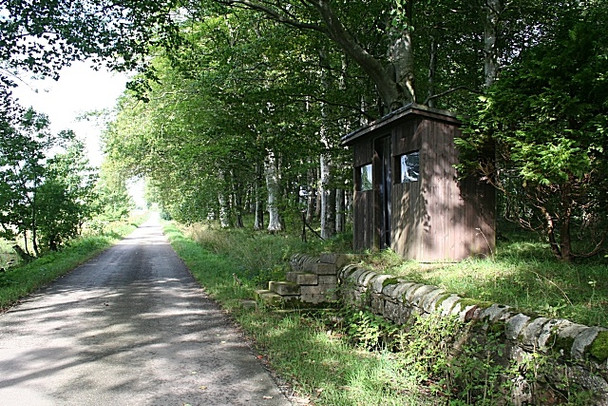 Photo 6"x4" Prepare for a Long Wait Knockbog c2008