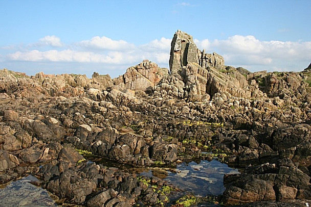 Photo 6"x4" Logie Head Cullen\/NJ5167 c2008
