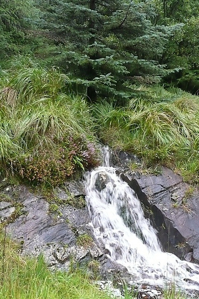 Photo 6"x4" Stream in Lettershanbally forest Leenaun c2008