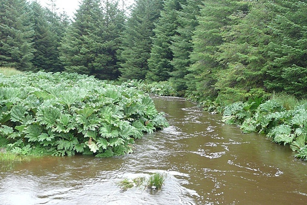 Photo 6"x4" Bunowen River Leenaun c2008
