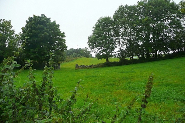 Photo 6"x4" Pasture at Fairhill Islandeady c2008