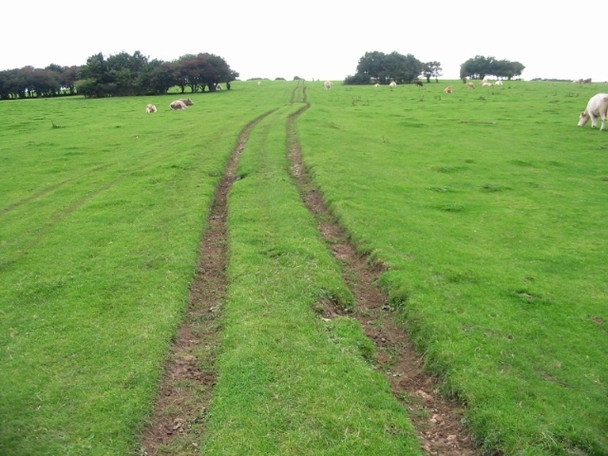 Photo 6"x4" The route of the Saxon Shore Way on Tolsford Hill Etchinghill\/TR1639 c2008