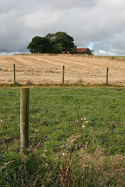 Photo 6"x4" Moss-side of Drumdollo Drumdollo c2008