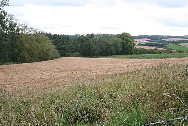 Photo 6"x4" Fields above Frendraught Corse\/NJ6040 c2008