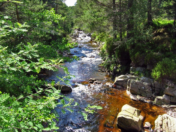 Photo 6"x4" Water of Tanar Inchmarnoch c2008