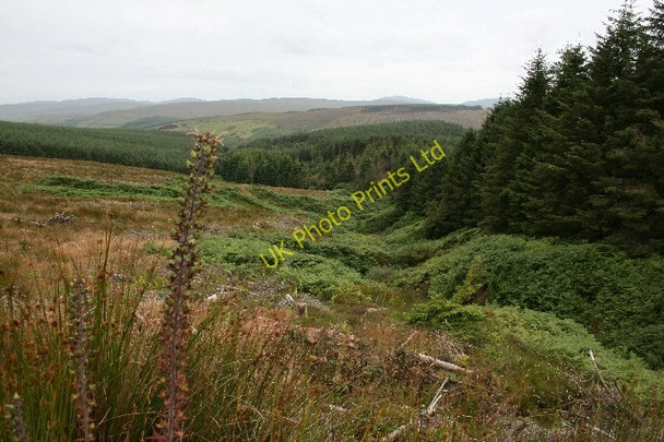 Photo 6"x4" The South West Slopes of Kerran Hill. Mill Park c2007