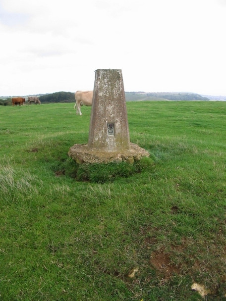 Photo 6"x4" Triangulation station on top of Tolsford Hill Newbarn\/TR1539 c2008