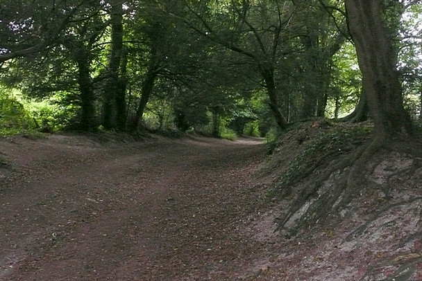 Photo 6"x4" Descent of Broughton Down Broughton\/SU3032 c2008
