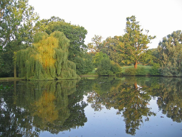Photo 6"x4" Wivenhoe Park Wivenhoe c2008