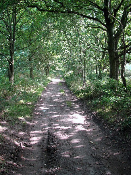 Photo 6"x4" View east along Green Lane Horsford c2008