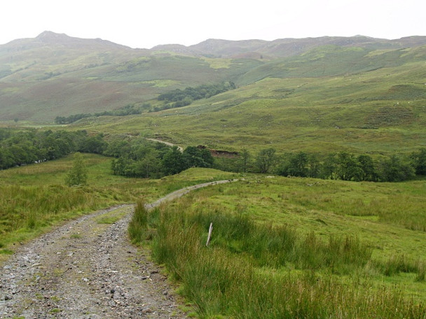 Photo 6"x4" Track to Balvraid Allt M\u00f2r\/NG8516 c2008